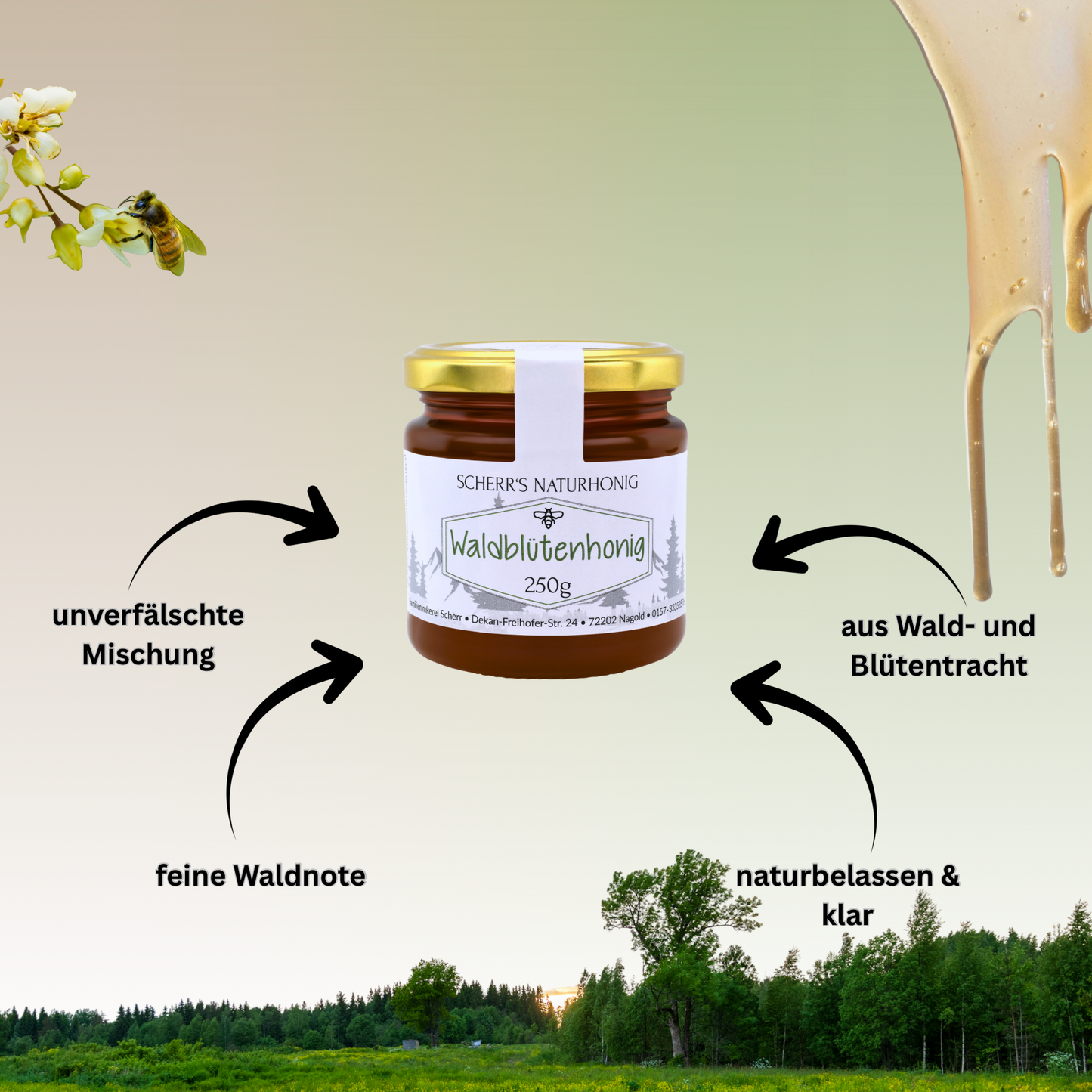 Deutscher Waldblütenhonig 250g